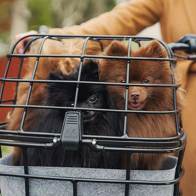 Krepšys ant bagažinės ir priekio AtranVelo DUO // 25L, 45x27x35 cm, AVS fiksacija (juoda)