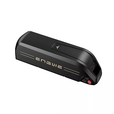 El. dviračio Engwe M20 akumuliatorius 48V 13Ah