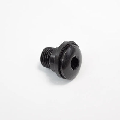 Galinio pavarų perjungiklio varžtas M10