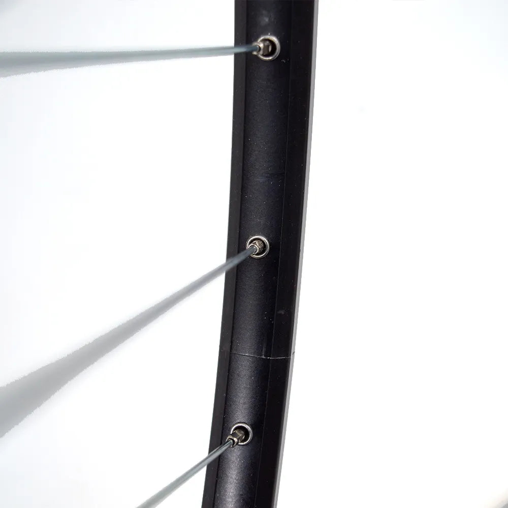 Galinis ratas 28/29" d-brake CL, 32H, kasetė, QR