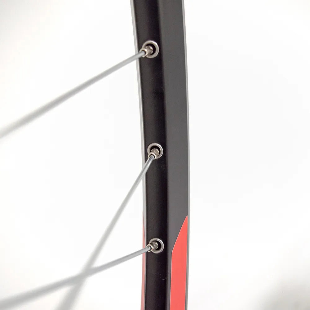 Galinis ratas 26" d-brake 6B, 36H, kasetė, QR