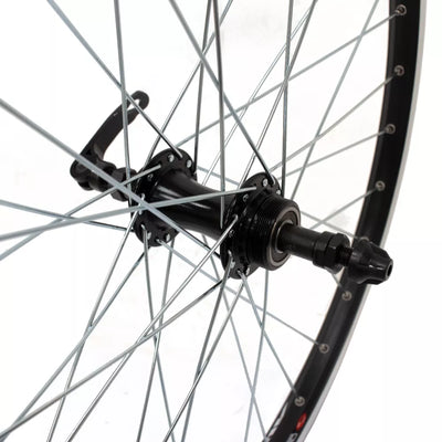 Galinis ratas J19SB 24", v-brake, 32H, užsukamas žv. blok., QR