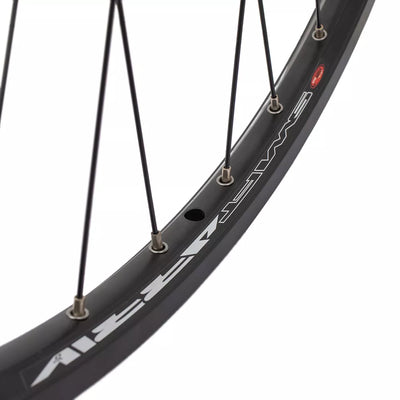 Galinis ratas J19SB 28/29" // diskiniams 6 varžtų, 36H, kasetė, QR / greitveržlė, aliuminis