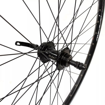 Galinis ratas J19SB 29" d-brake 6B, 36H, užsukamas žv. blok., QR