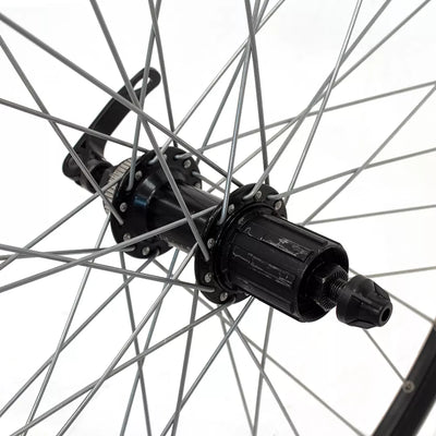 Galinis ratas SUNSTART 26" d-brake CL, 36H, kasetė, QR, aliuminis