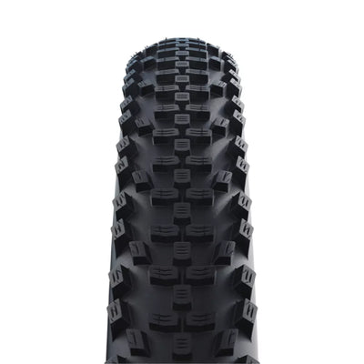 Padanga Schwalbe Smart Sam Addix B/SK Performance 28 x 1.60" (42-622) // E-25, kamerinė, standi
