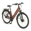 Elektrinis Prophete Geniesser 2.9 City 28" // N7, dydis 20" (50 cm) (ruda - Amber Brown)