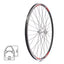 Priekinis ratas Sunstart 28" // V-Brake, 36H, veržlė, dvigubas, kniedytas, aliuminis
