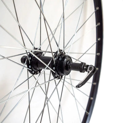 Galinis ratas 28/29" Sunstart, v-brake, 36H, užsukamas žv. blok., QR