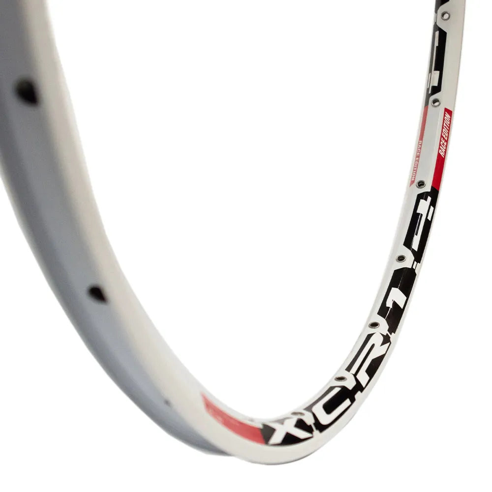 Ratlankis 26'' (559x19) DTSwiss XR 4.2D d-brake, 24H (balta)