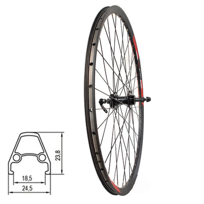 Galinis ratas 28/29"SUNSTART, d-brake 6B, užsukamas žv. blok., QR
