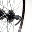 Galinis ratas 28/29" Dynamic, v-brake, 36H, užsukamas žv. blok., QR
