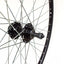 Galinis ratas 26" SUNSTART, d-brake 6B, 36H, užsukamas žv. blok., QR