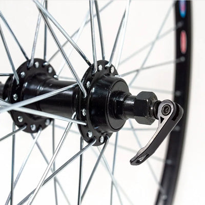 Galinis ratas 28/29" Dynamic, v-brake, 36H, užsukamas žv. blok., QR