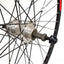 Galinis ratas 28/29" SUNSTART, d-brake 6B, 36H, užsukamas žv. blok., QR