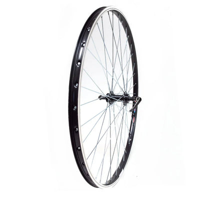 Galinis ratas 28/29" Dynamic, v-brake, 36H, užsukamas žv. blok., QR