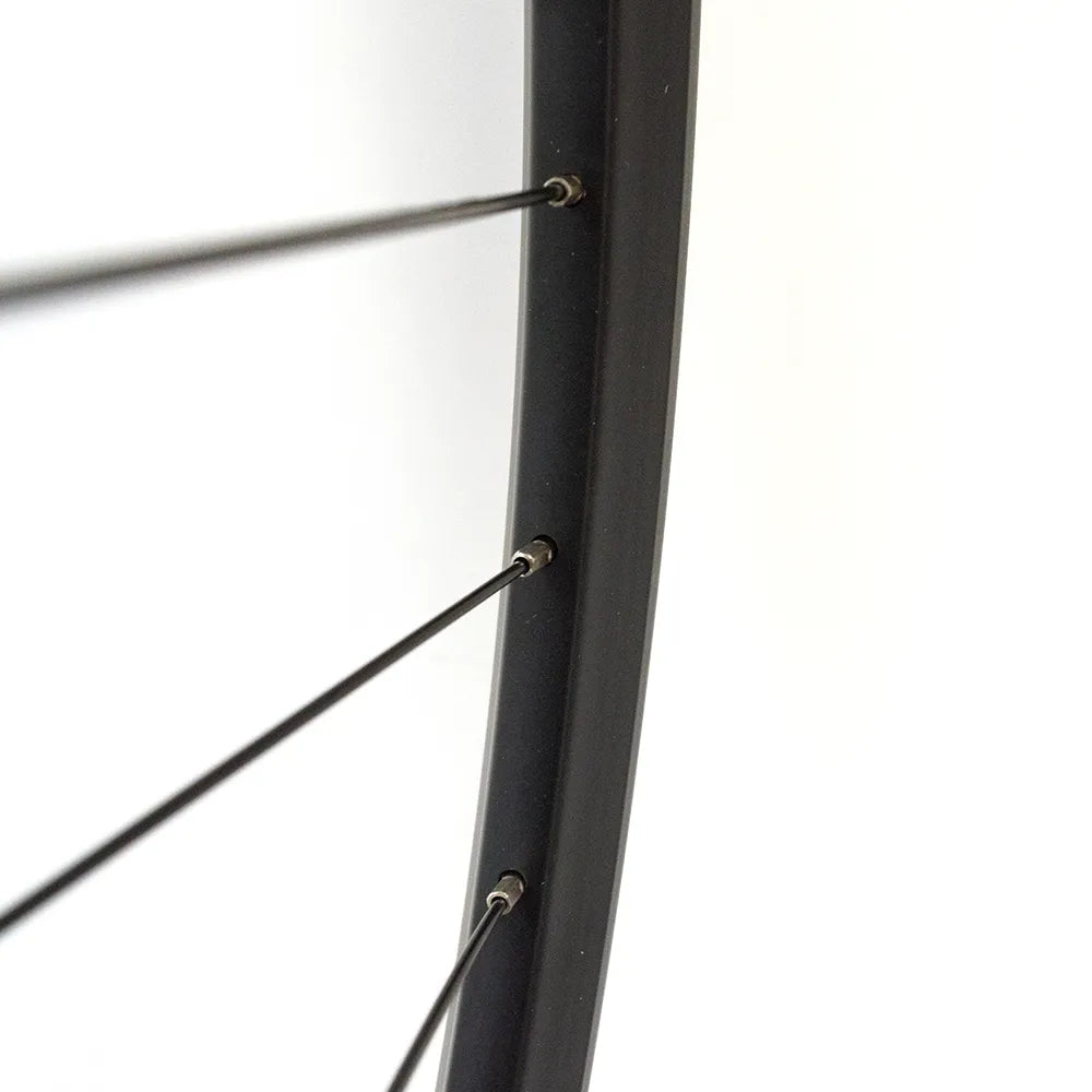 Galinis ratas 28/29"SUNSTART, d-brake 6B, užsukamas žv. blok., QR