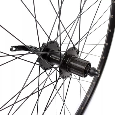 Galinis ratas J19SB 29" d-brake 6B, 36H, kasetė, QR