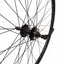 Galinis ratas J19SB 29" d-brake 6B, 36H, užsukamas žv. blok., QR