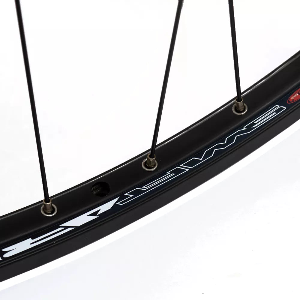 Galinis ratas J19SB 29" d-brake 6B, 36H, užsukamas žv. blok., QR
