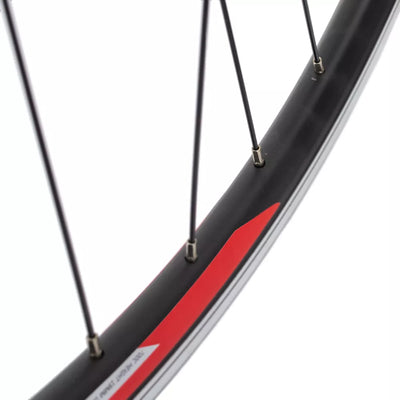 Galinis ratas Sunstart 28/29" // V-Brake + kojinis stabdis, 36H, 3 vidinės pavaros, dvigubas ratlankis, be kniedžių, veržlė, aliuminis
