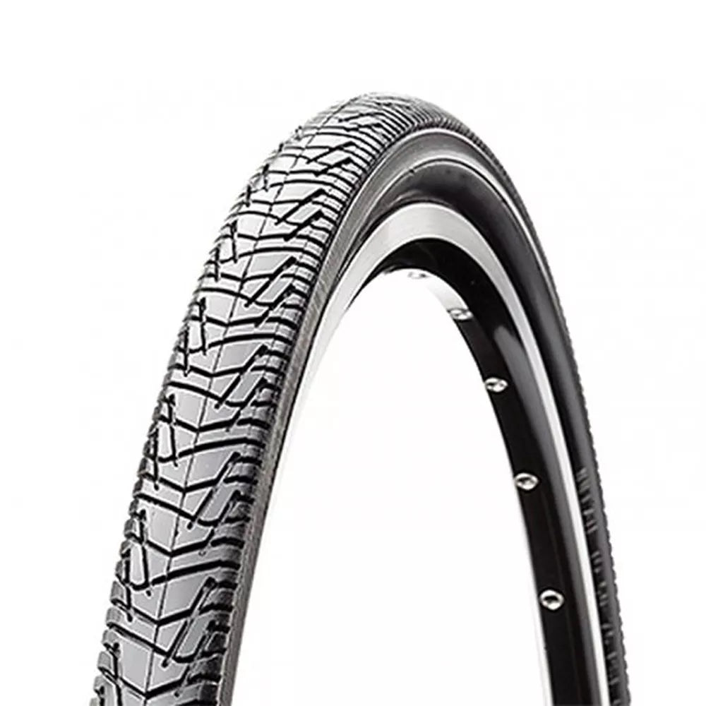 Padanga CST 24" x 1.90" // C1110