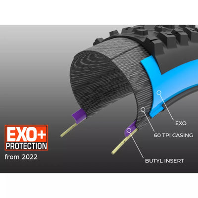 Padanga MAXXIS MINION DHF 29x2,50  WT3C MAXX TERRA/EVO+/TR